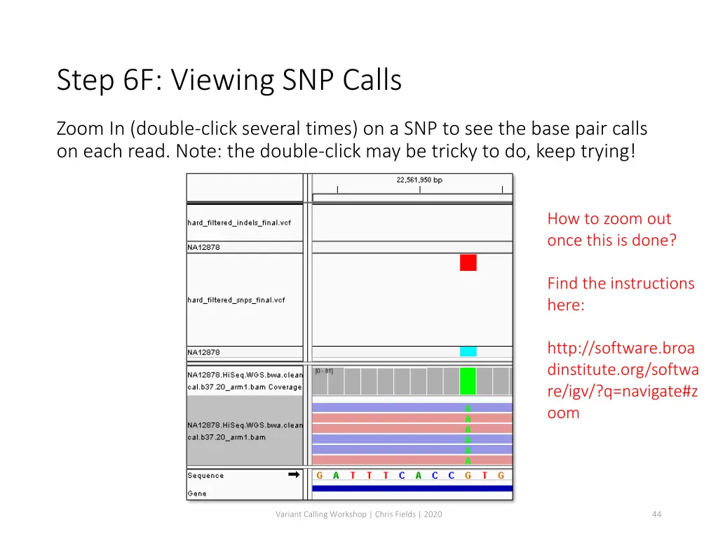 step 6f viewing snp calls