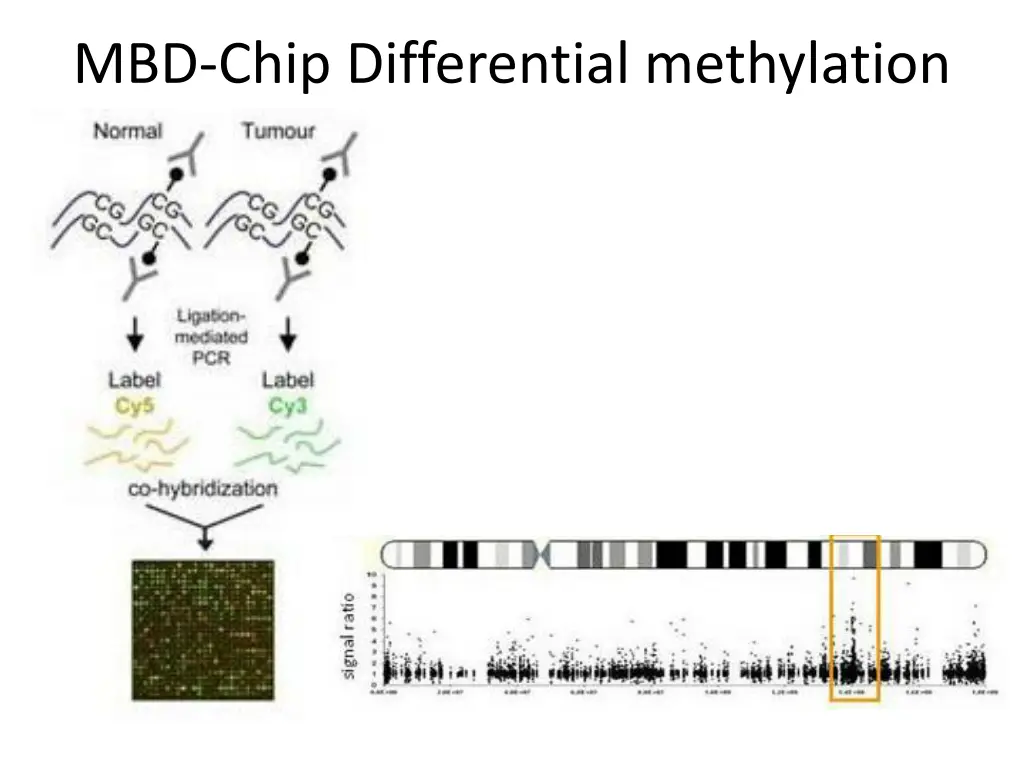 mbd chip differential methylation