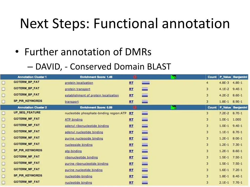 next steps functional annotation