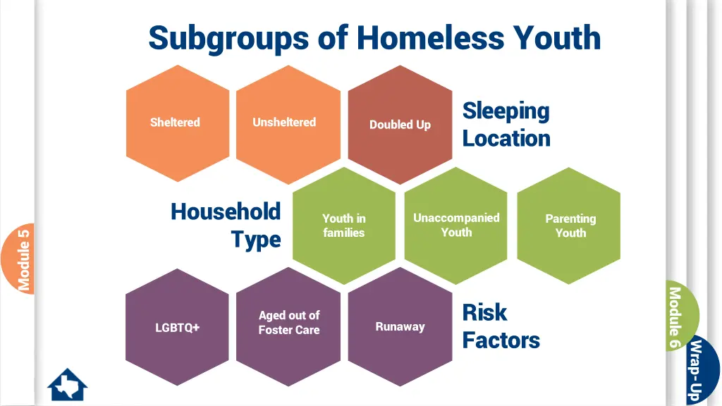 subgroups of homeless youth