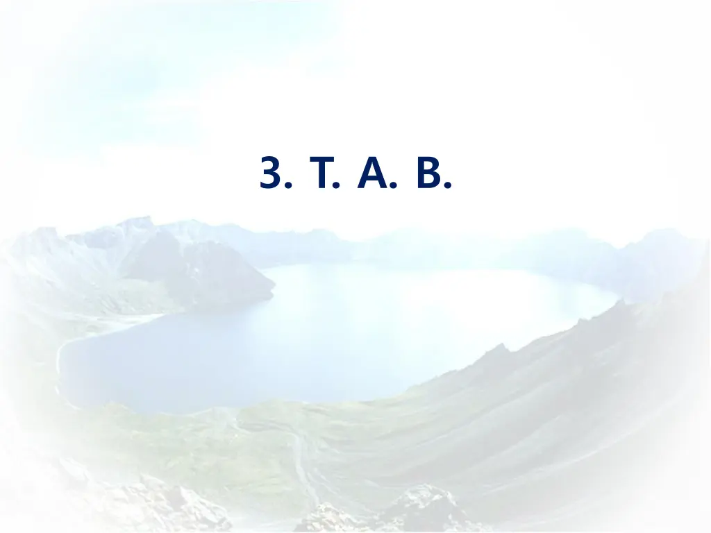 3 t a b