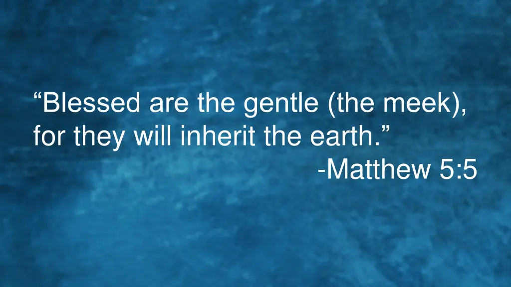 blessed are the gentle the meek for they will
