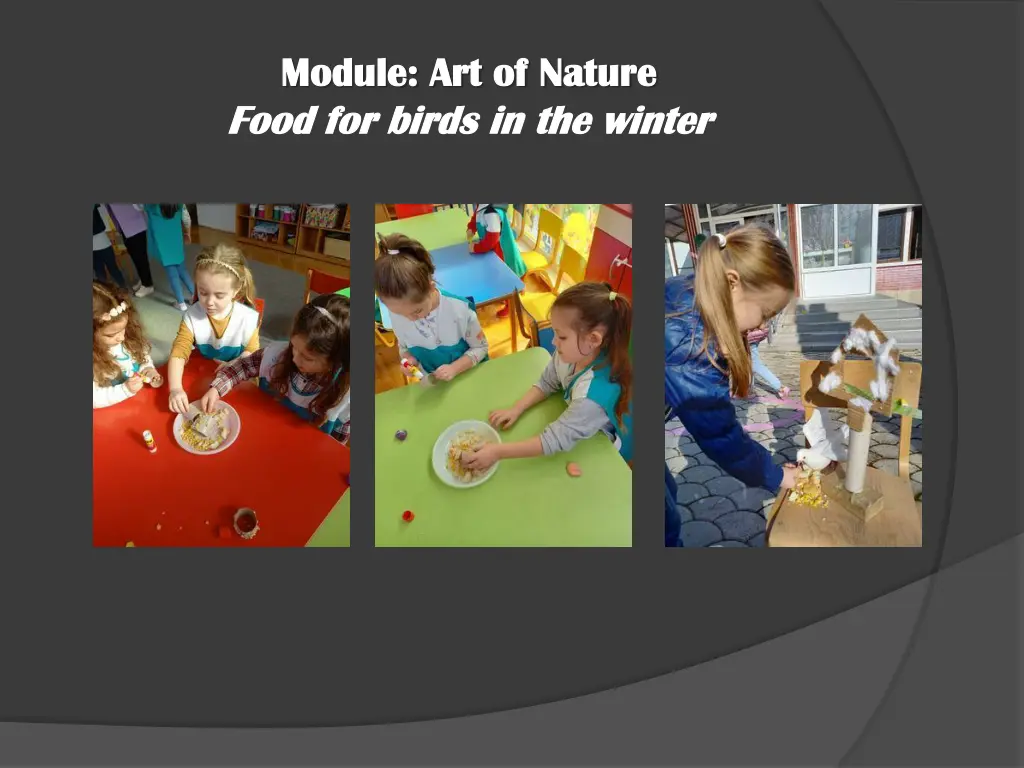 module art of nature module art of nature food