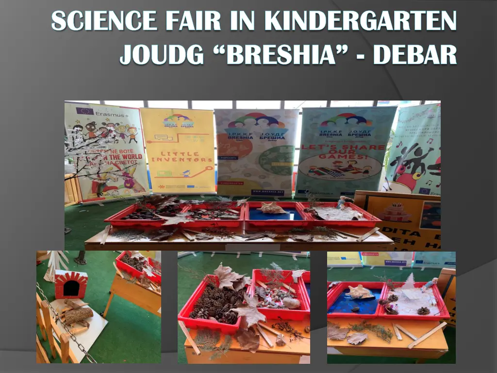 science science fair in kindergarten fair
