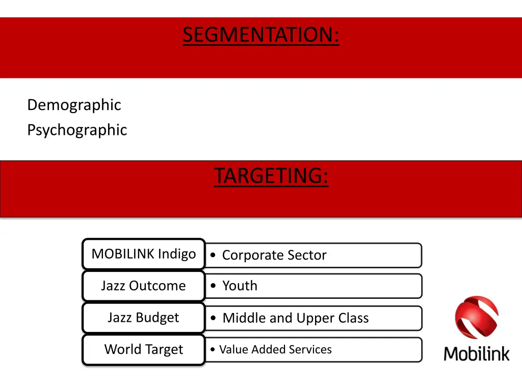 segmentation 1