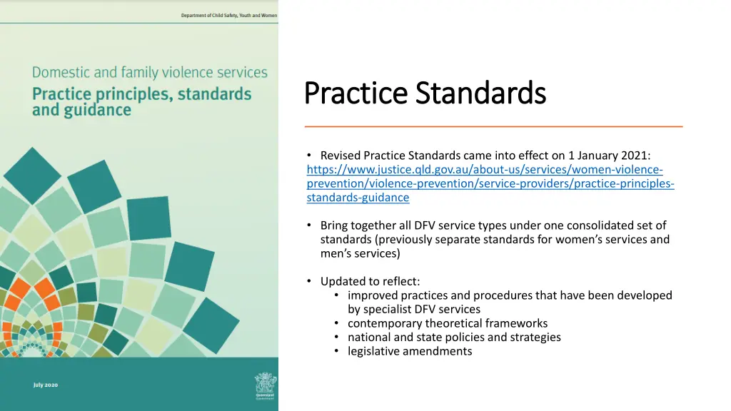 practice standards practice standards