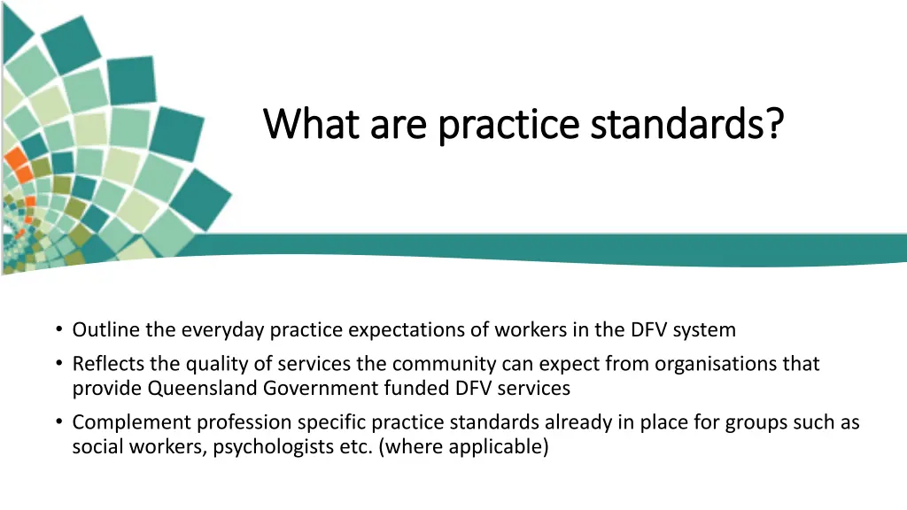 what are practice standards what are practice