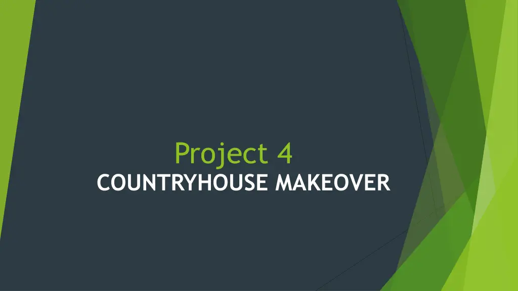 project 4