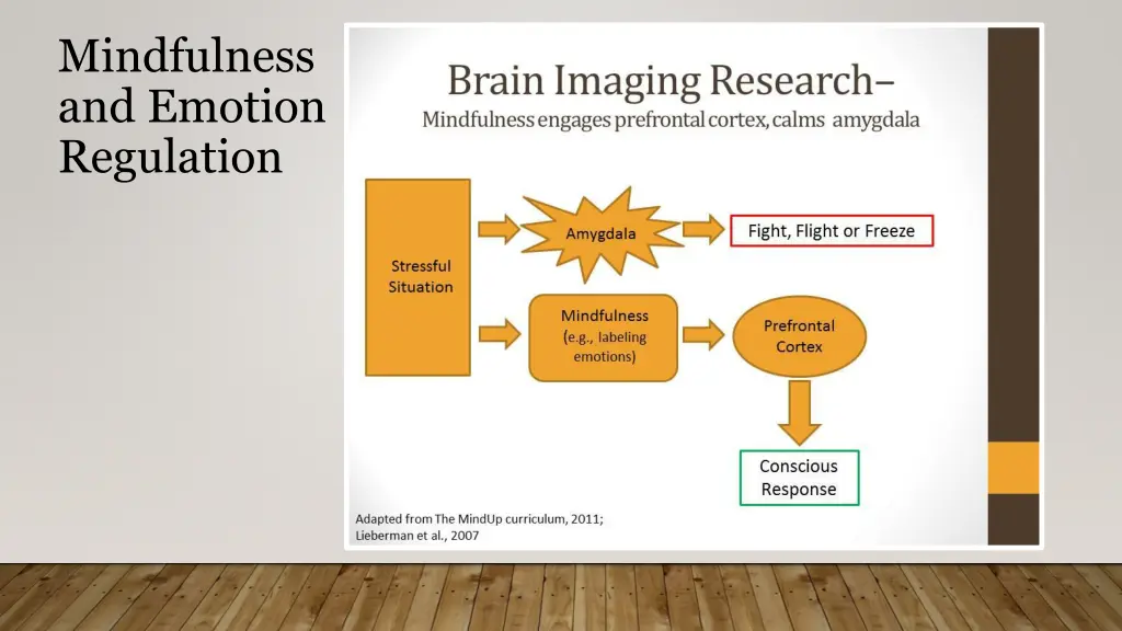 mindfulness and emotion regulation