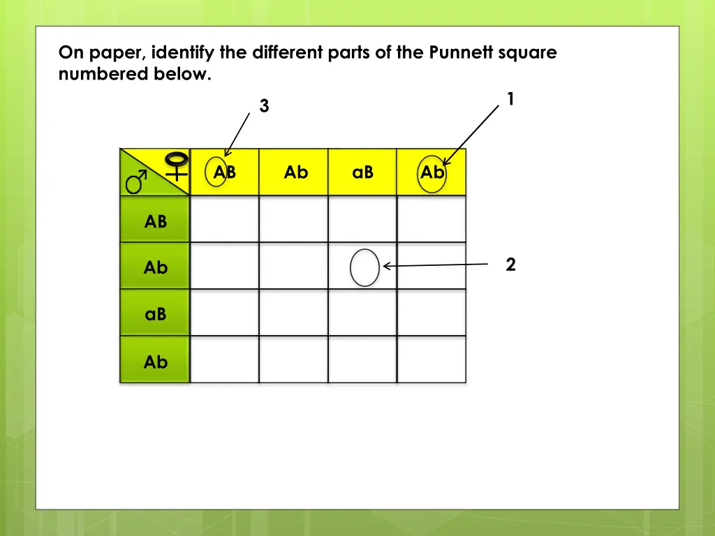 on paper identify the different parts