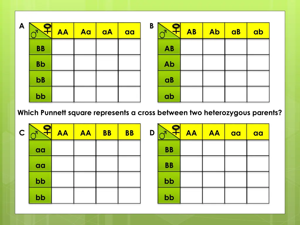 slide22