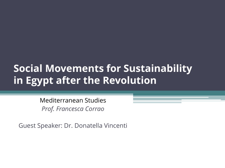 social movements for sustainability in egypt