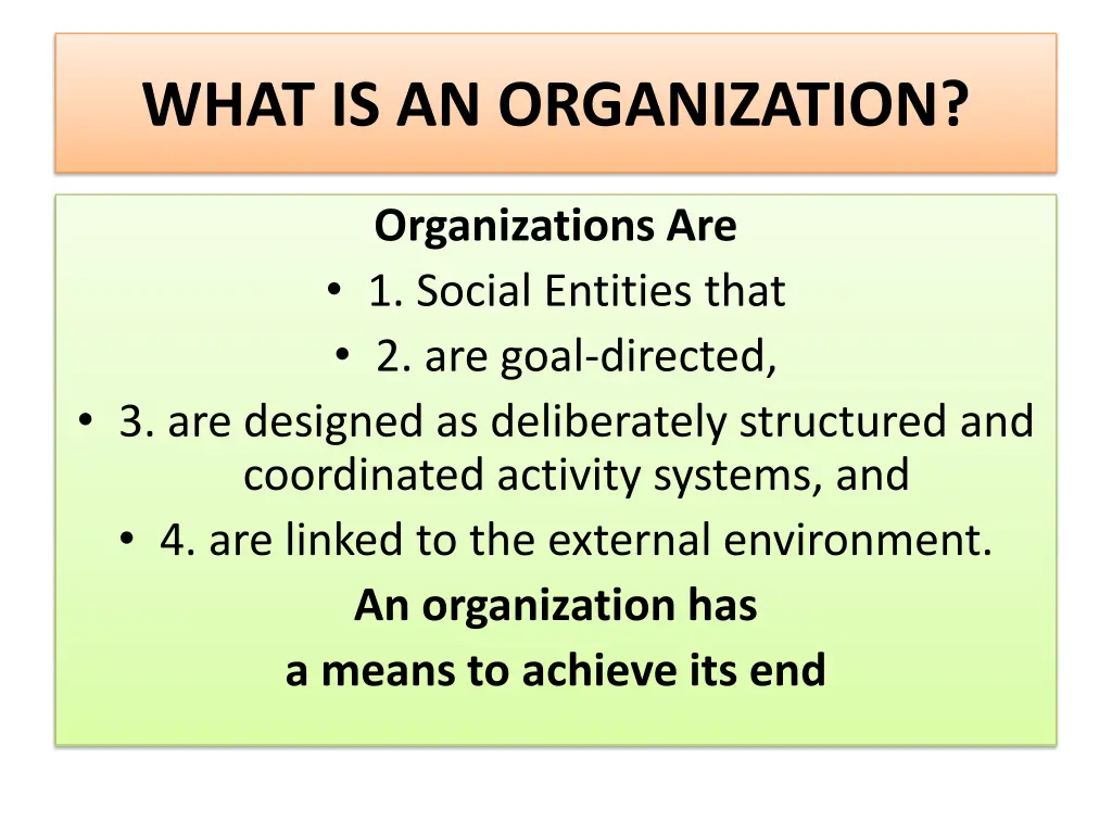what is an organization