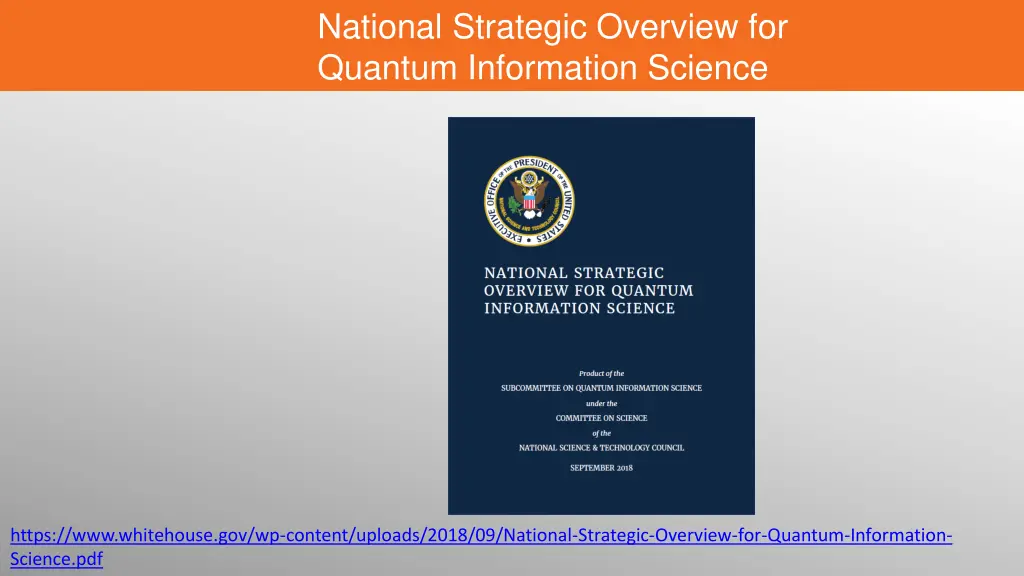 national strategic overview for quantum 1