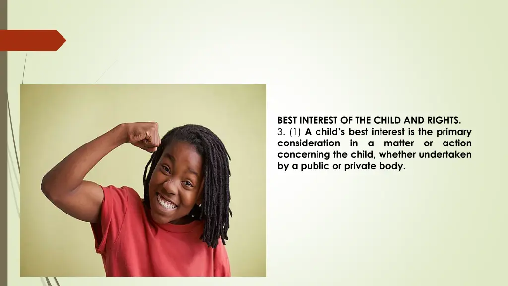 best interest of the child and rights 3 1 a child