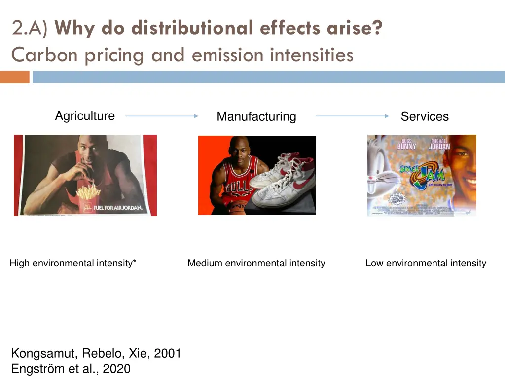2 a why do distributional effects arise carbon