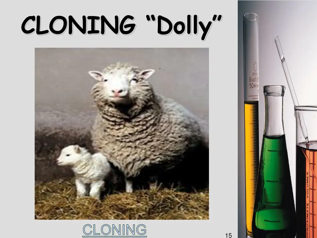 cloning dolly