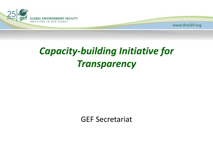 capacity building initiative for transparency