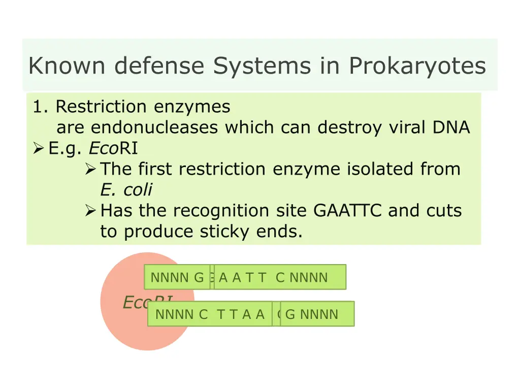 known defense systems in prokaryotes