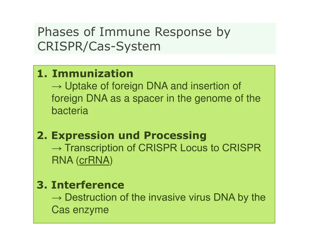 phases of immune response by crispr cas system