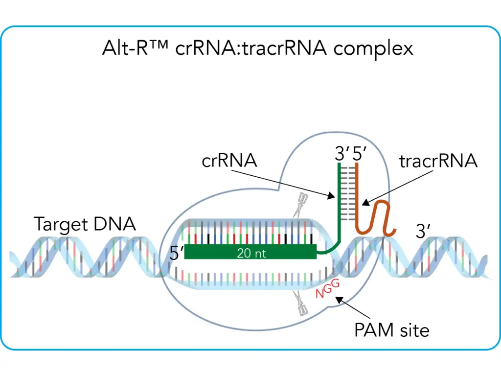 slide17