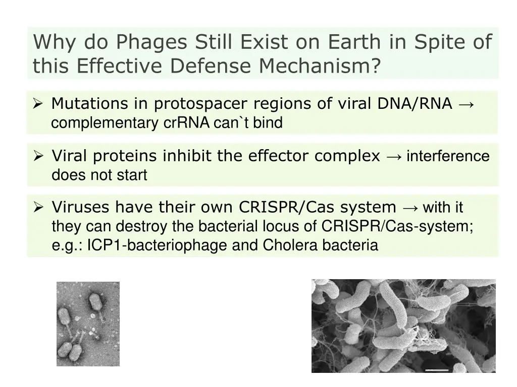 why do phages still exist on earth in spite