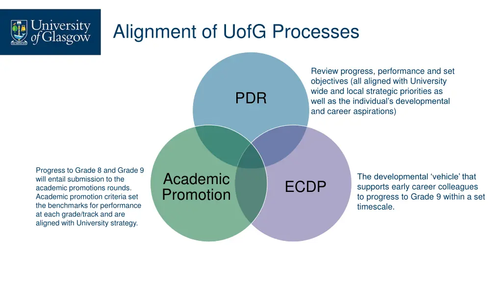 alignment of uofg processes
