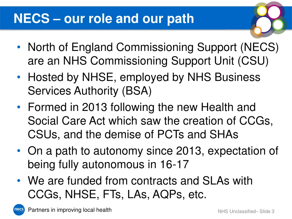 necs our role and our path