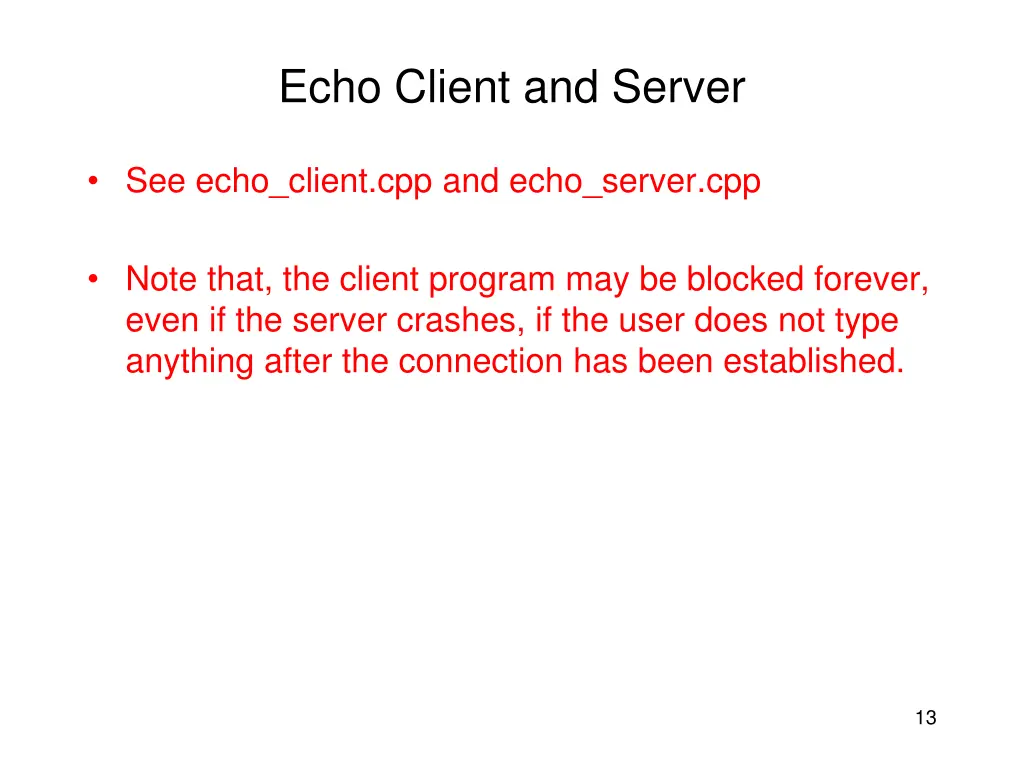 echo client and server