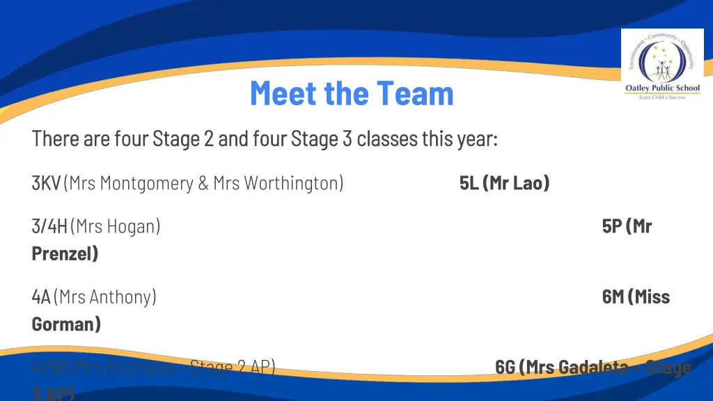 meet the team