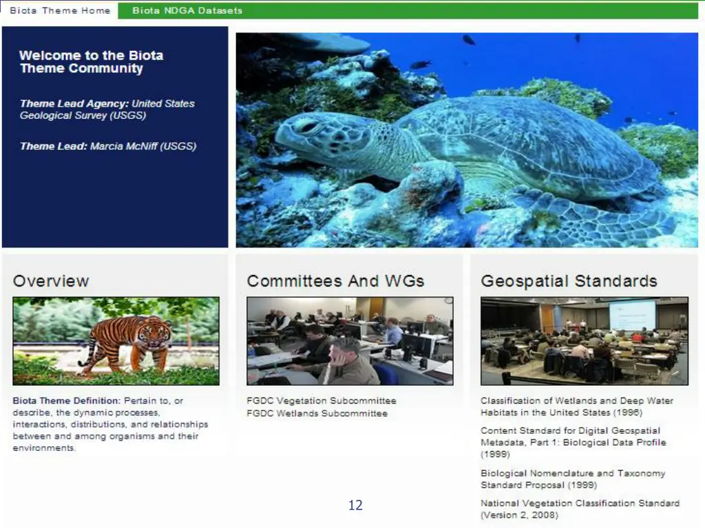 slide12