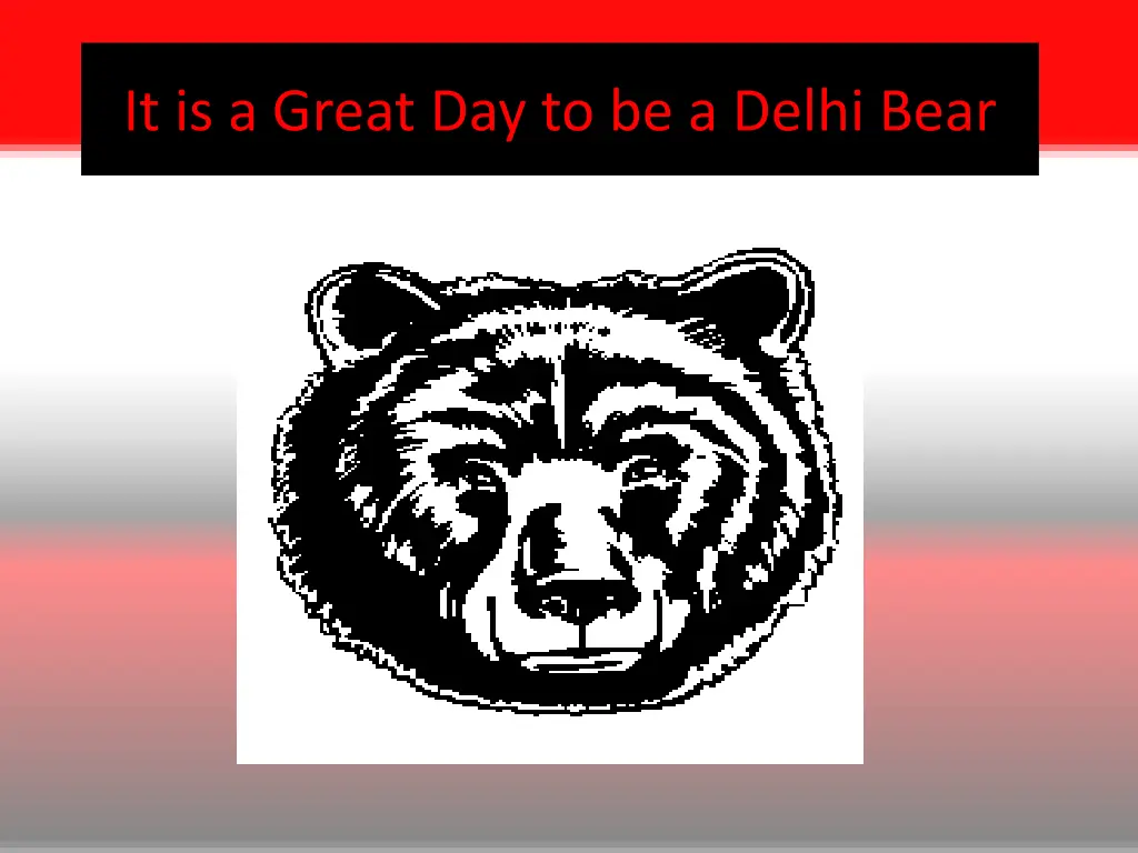 it is a great day to be a delhi bear