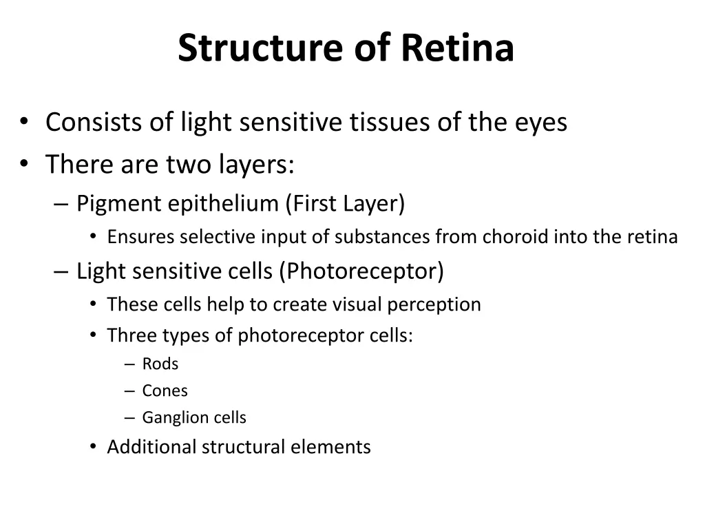 structure of retina