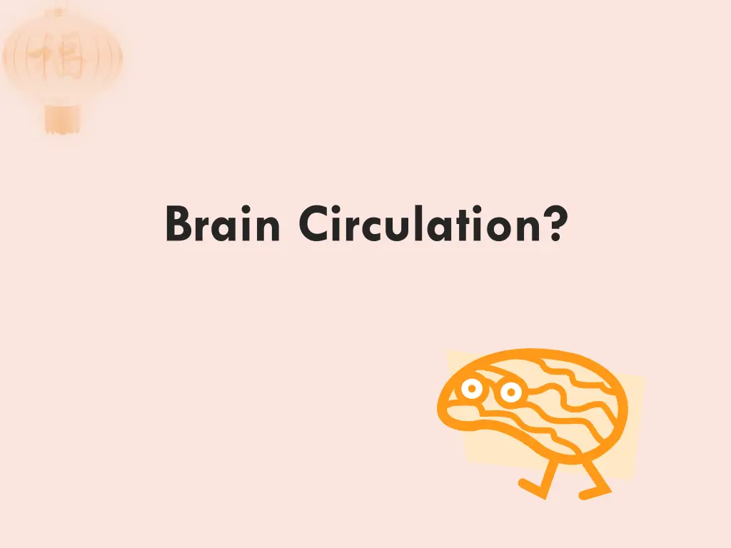 brain circulation