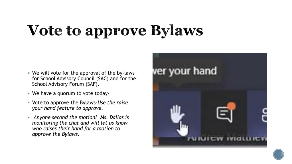 vote to approve bylaws
