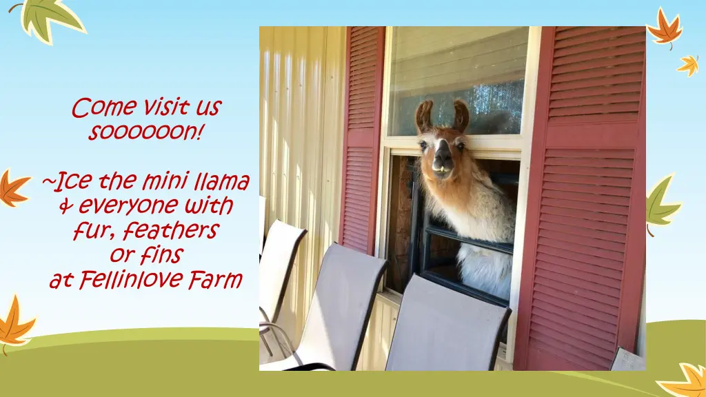 come visit us soooooon