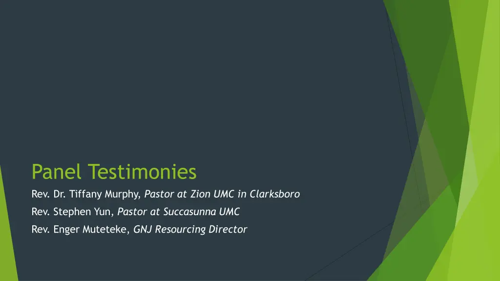 panel testimonies rev dr tiffany murphy pastor