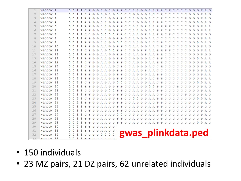gwas plinkdata ped
