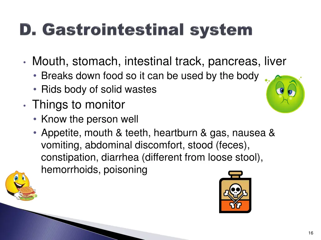 mouth stomach intestinal track pancreas liver