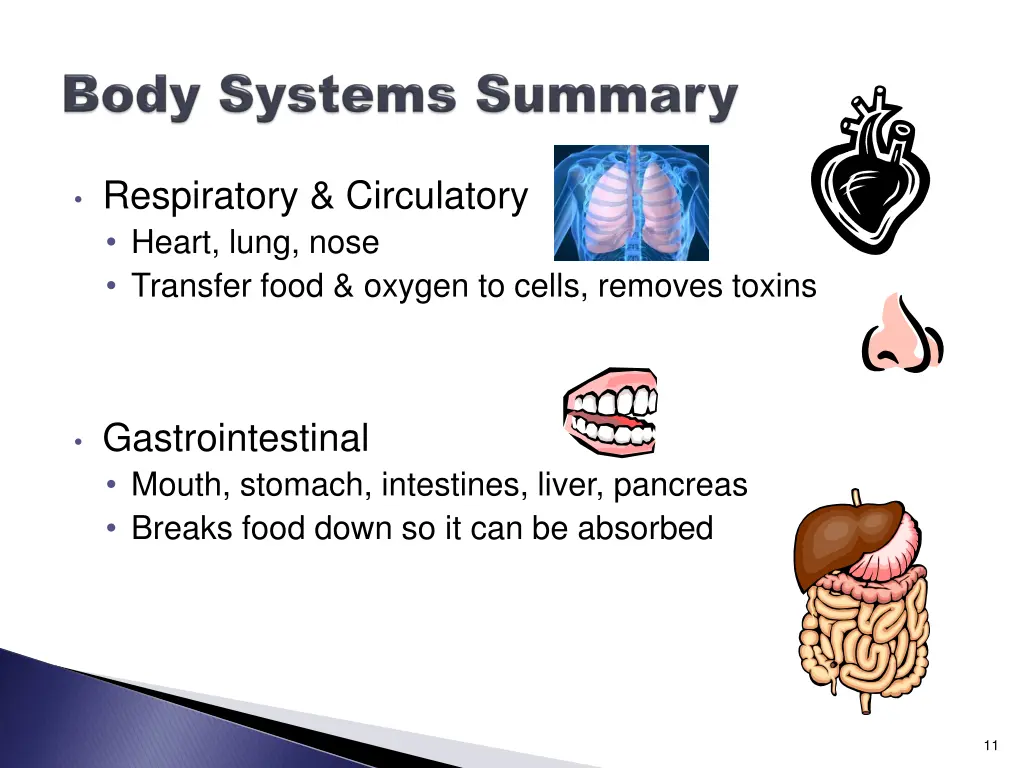 respiratory circulatory heart lung nose transfer