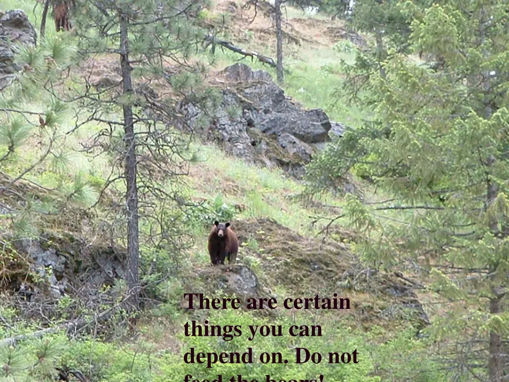 there are certain things you can depend