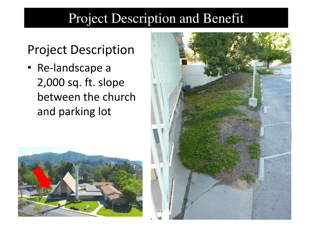 project description and benefit 1