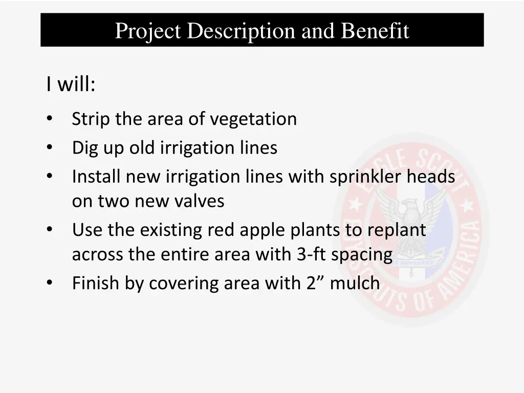 project description and benefit 3