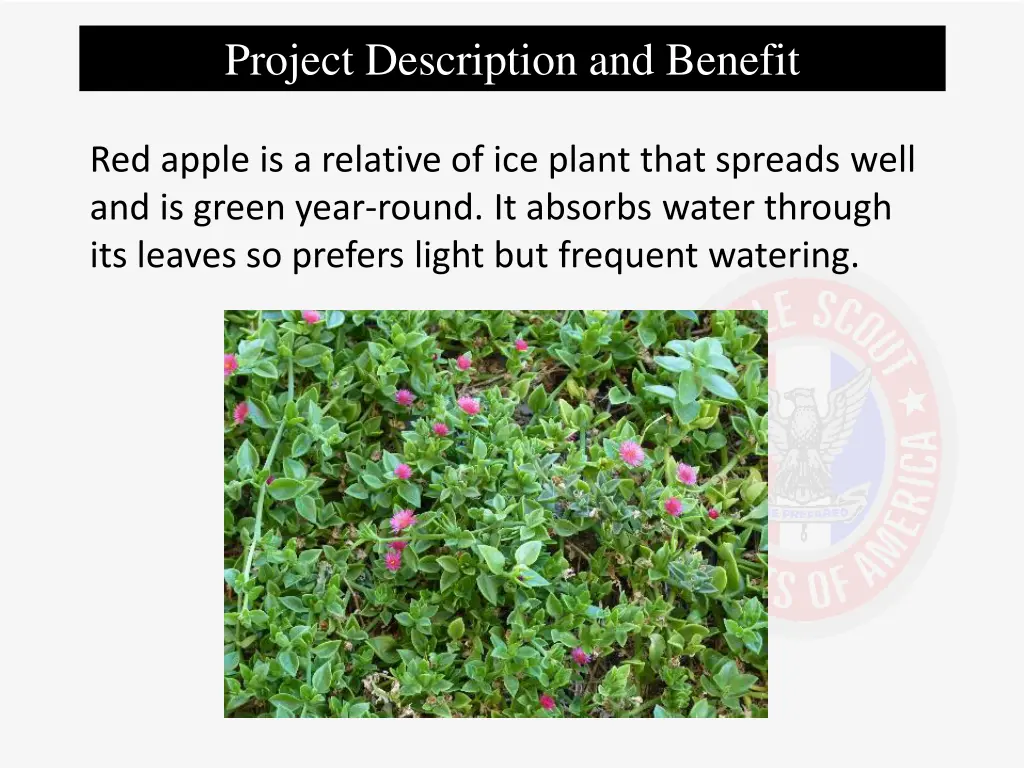 project description and benefit 4