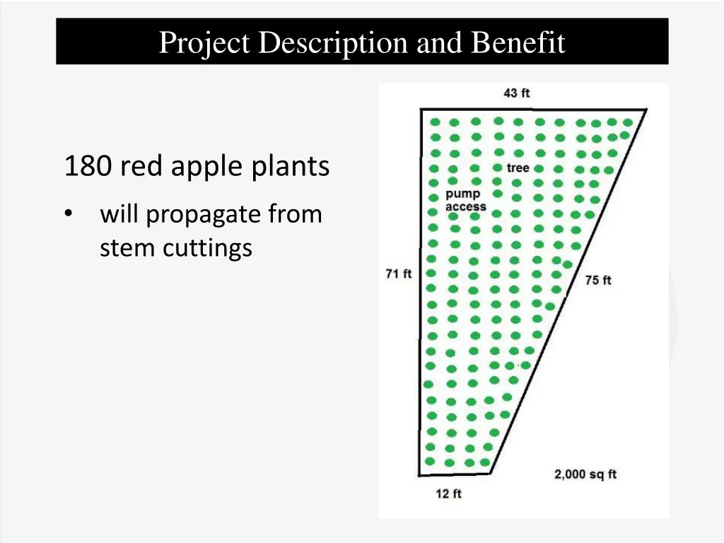 project description and benefit 6