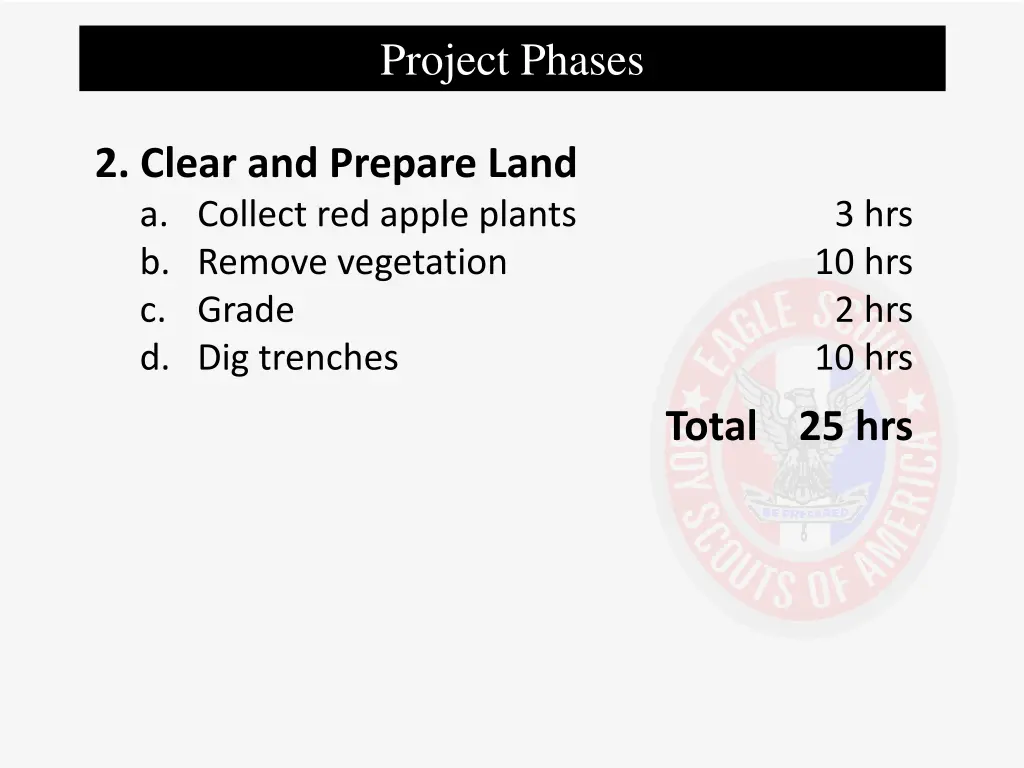 project phases 2