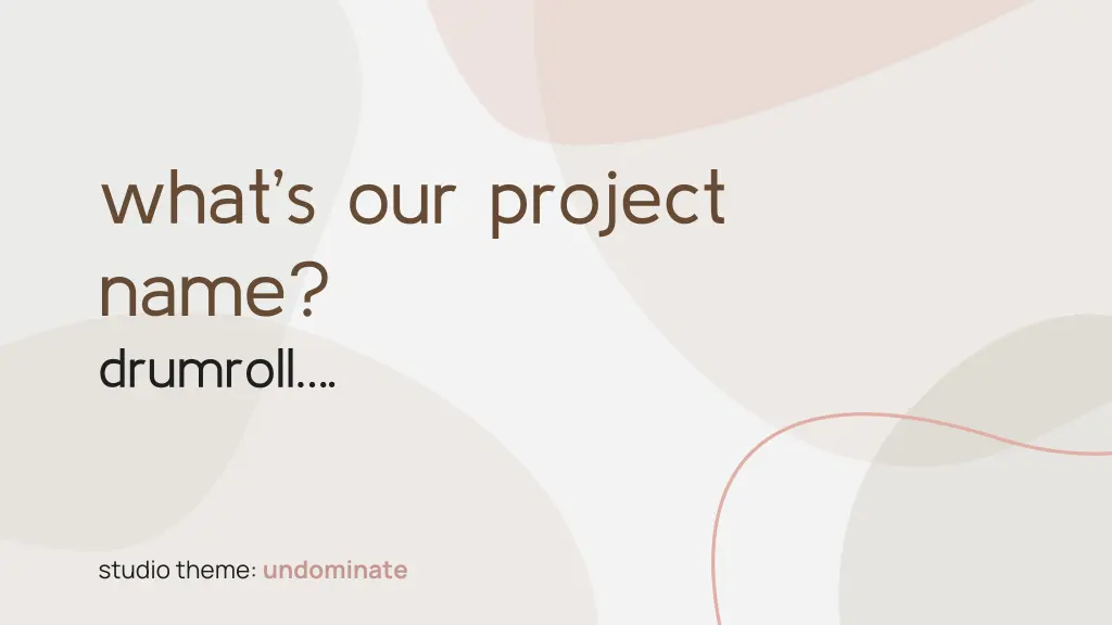 what s our project name drumroll