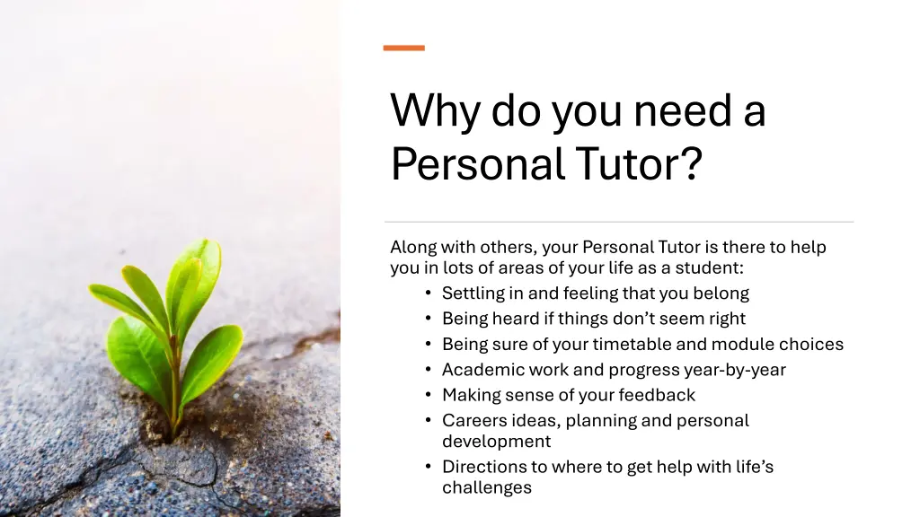 why do you need a personal tutor