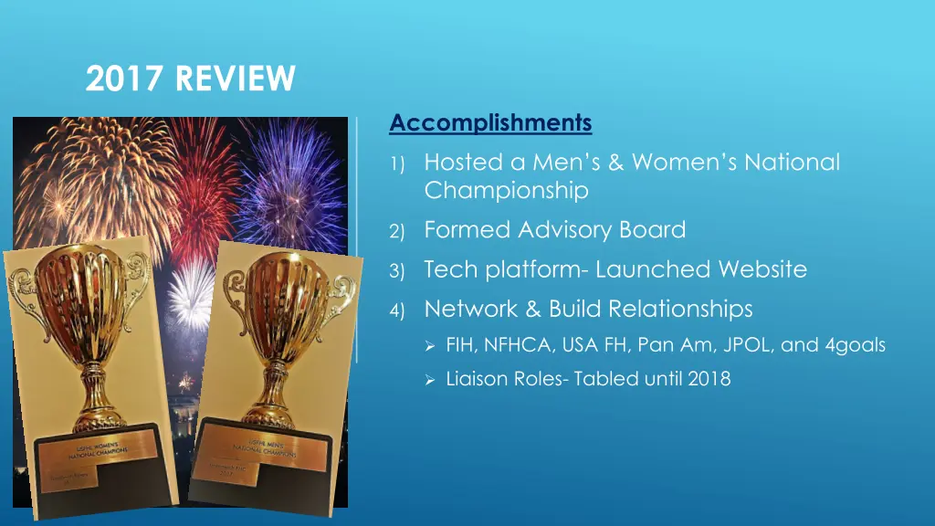 2017 review