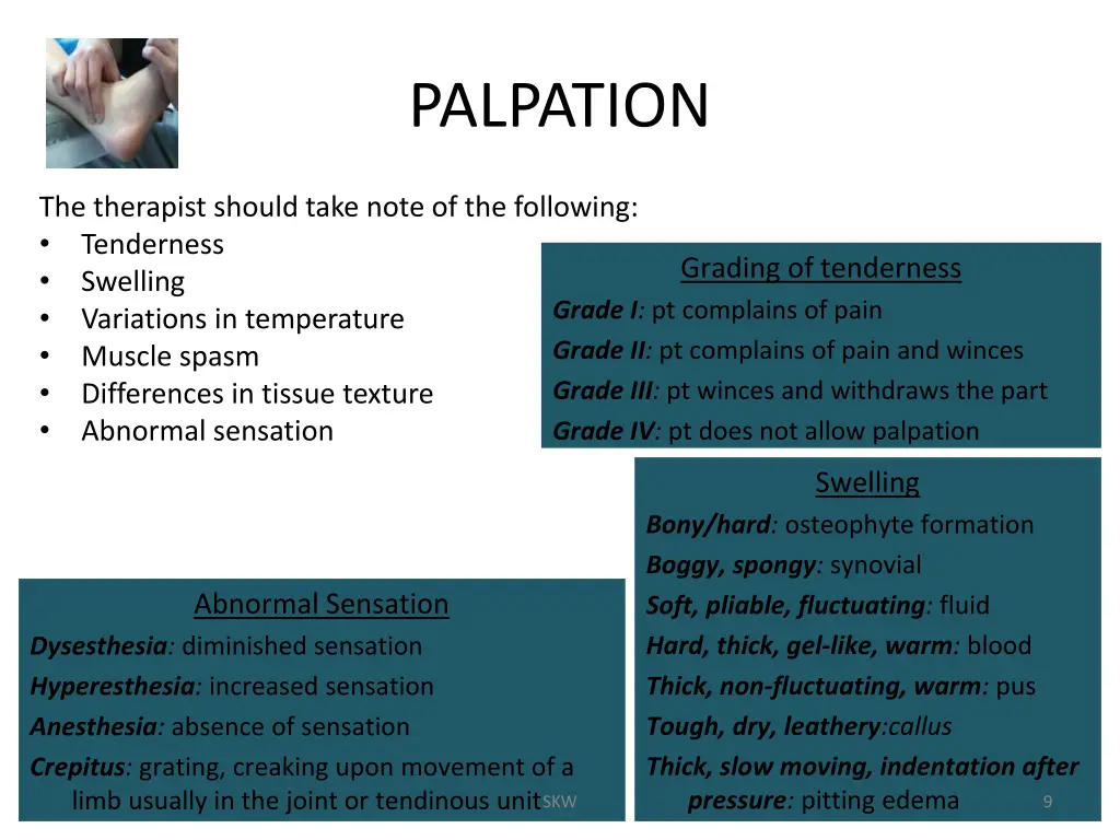 palpation